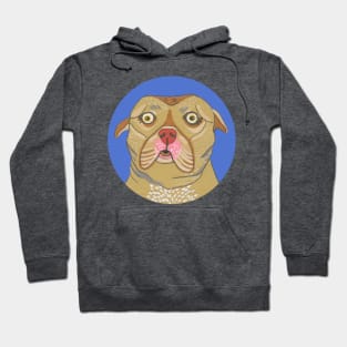 Cute Pitbull Dog Hoodie